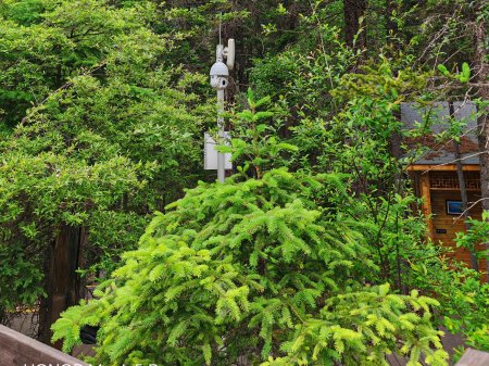 夏季來臨，AI視頻監(jiān)控新防下水算法解決管理難題